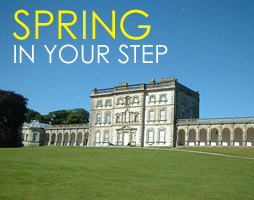 Spring In Your Step